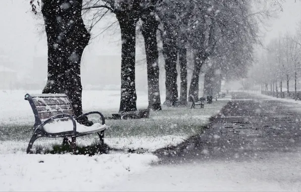 Winter, snow, trees, Park, alley, shop