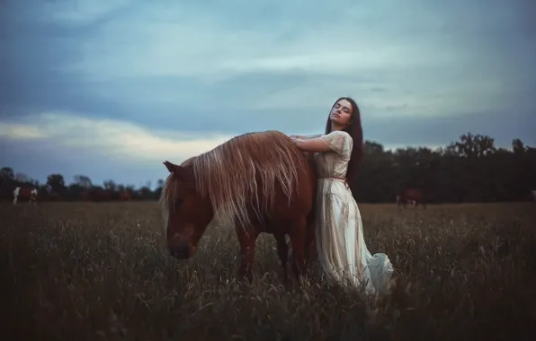 Picture girl, horse, Aleah Michele, Late on a summer day