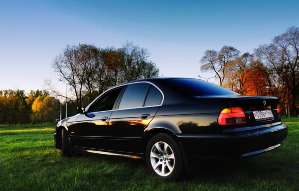 BMW, Sedan, 5 series, Boomer, 525
