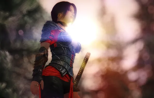 Picture girl, rendering, background, sword, warrior