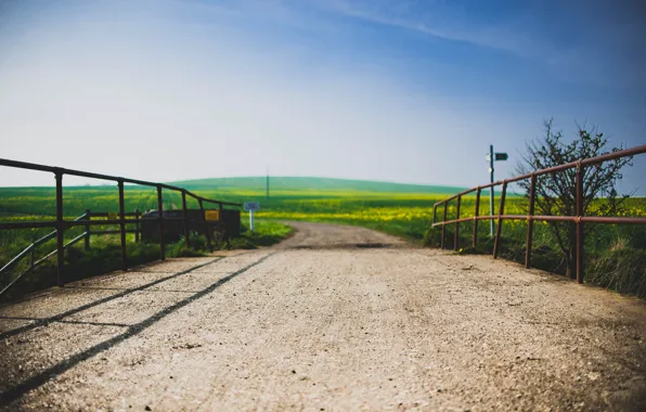 Flowers, The sky, Field, Road, Bridge, Grass, The fence, Trees