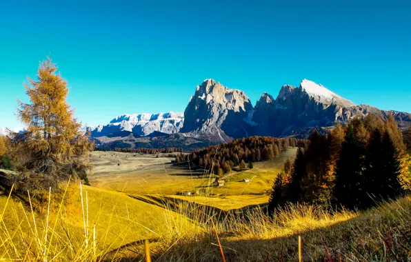 Field, autumn, forest, the sky, trees, mountains, rocks, blue
