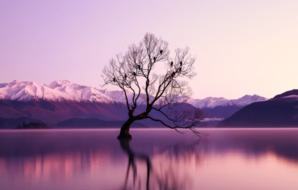 The sky, Water, Clouds, Reflection, The evening, Tree, Mountains, Lake