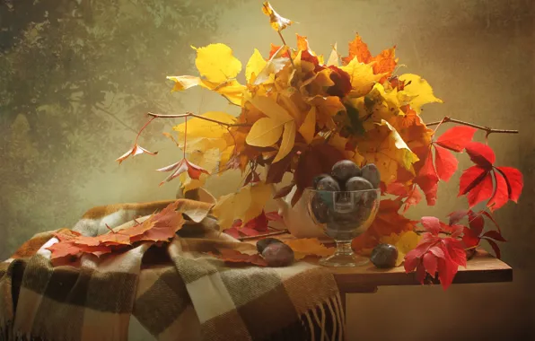 Autumn, leaves, yellow, still life, plum