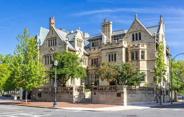 Trees, house, street, the building, mansion