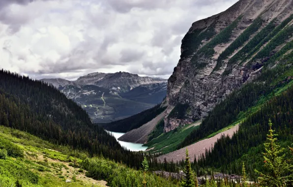 Picture forest, landscape, mountains, nature, lake, rocks, valley
