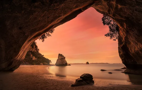 Sea, sunset, branches, stones, rocks, shore, arch, cave
