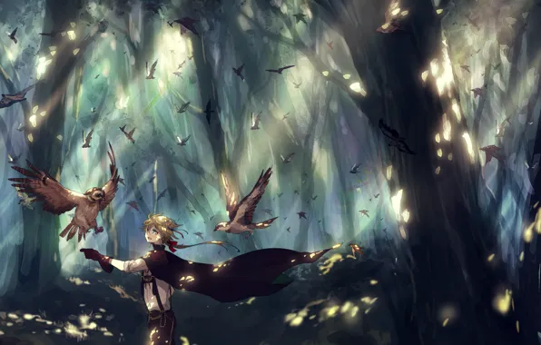 Forest, trees, birds, nature, anime, art, guy, canarinu kmes