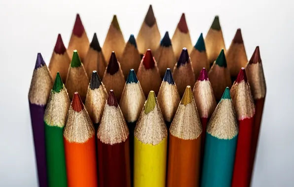 Macro, light background, colored pencils