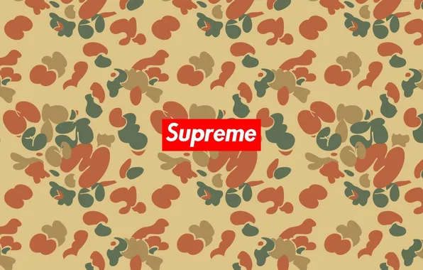 Picture background, firm, supreme, clothes