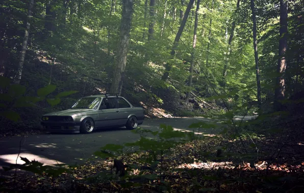 Picture road, forest, grey, BMW, BMW, sedan, E30, The 3 series