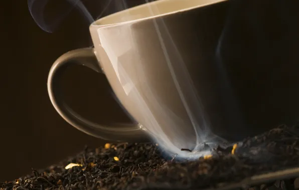 Coffee, Cup, smoke