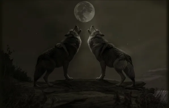 Night, fantasy, the moon, predators, wolves