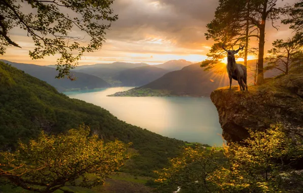 The sun, rays, landscape, sunset, mountains, nature, animal, deer