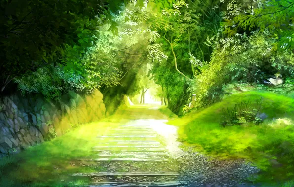 Picture greens, trees, landscape, track, alley, miyukin, miyuki readers