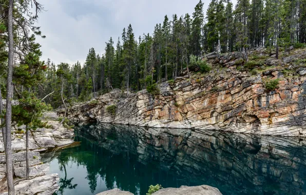 Picture forest, the sky, lake, rocks