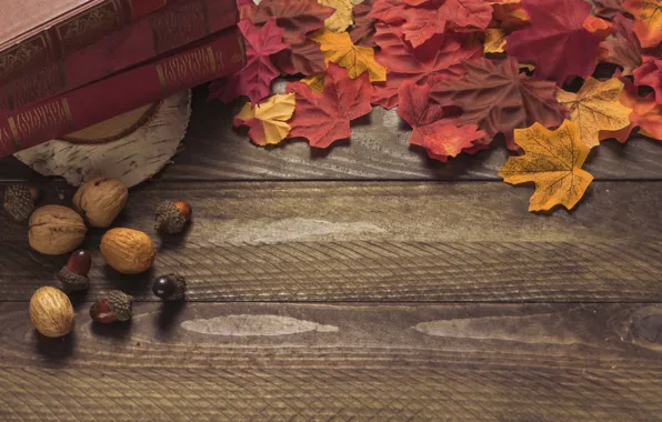 Picture autumn, leaves, background, colorful, Board, wood, acorns, background