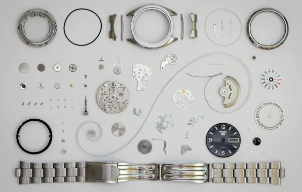 Picture watch, mechanism, details, SEIKO