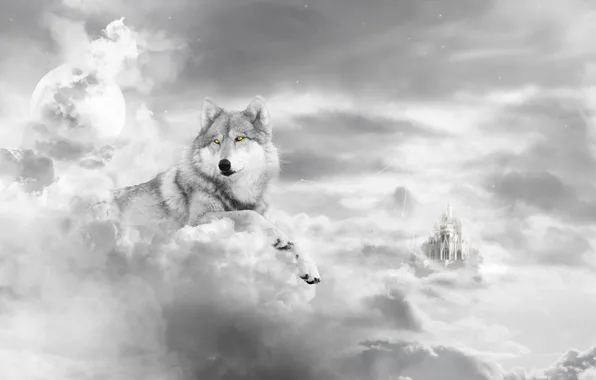 Picture white, castle, wolf, art