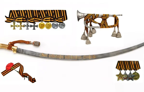 Picture St. George ribbon, blade, lanyard, checkers, clove, George arms, The Order Of Glory, George pipe