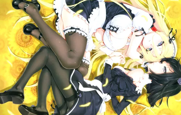 Shoes, sunflowers, neckline, bows, uniform, Alice, Dorothy, ruffles