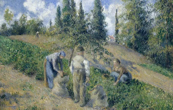 Landscape, picture, genre, Camille Pissarro, Harvest. PONTOISE