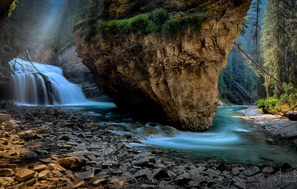 Forest, landscape, nature, river, stones, rocks, waterfall, Canada