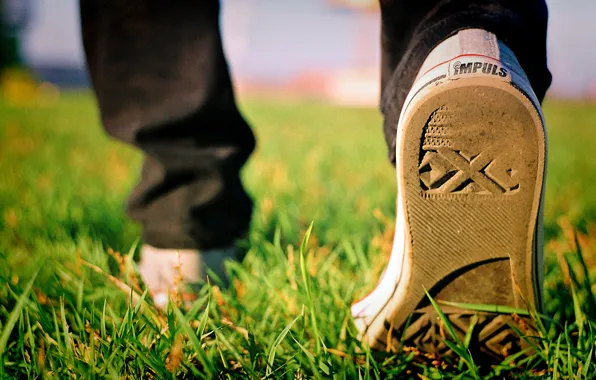 Autumn, grass, sneakers