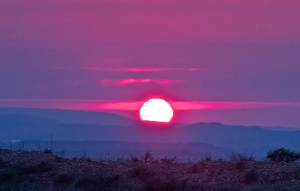 Picture the sky, the sun, clouds, sunset, horizon