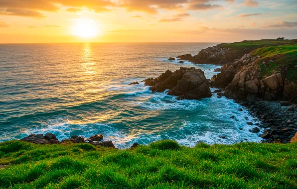 The sky, grass, the sun, clouds, open, the ocean, rocks, shore