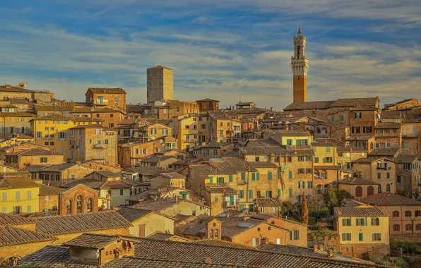 Tower, home, Italy, Siena