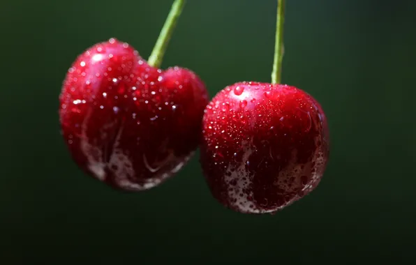 Macro, cherry, berries, background, Duo, cherry