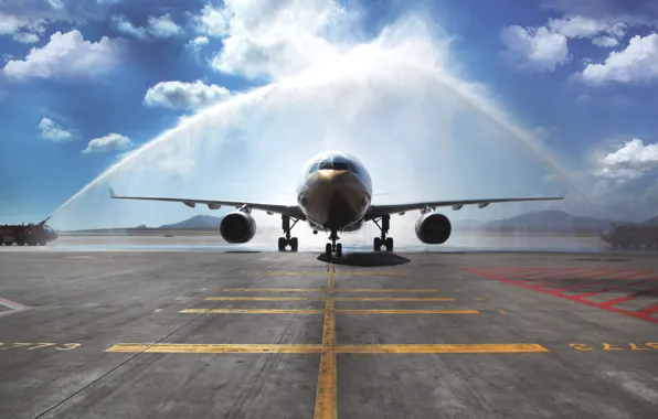 The sky, The plane, Day, Arch, Passenger, Airbus, A330, Airliner