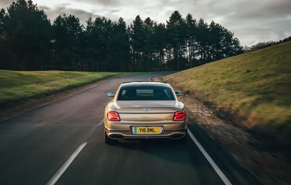 Road, markup, Bentley, back, Flying Spur, 2020, V8, 2021