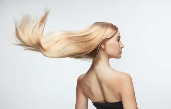 Girl, hair, back, makeup, hairstyle, blonde, white background