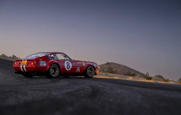 Ferrari, supercar, supercar, 1973, Daytona, Competition, the only instance, the only instance