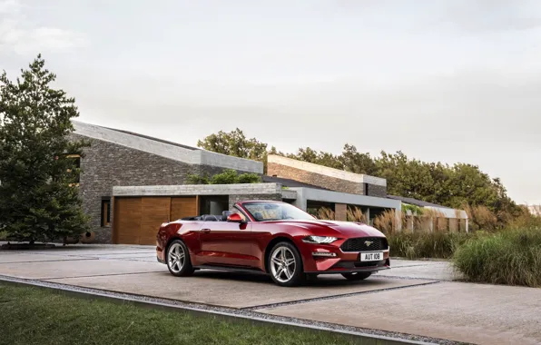 Lawn, the building, Ford, Parking, convertible, 2018, dark red, Mustang Convertible