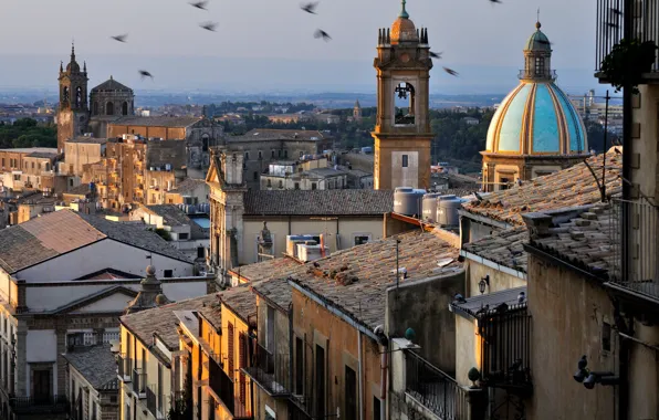 Roof, home, Italy, Cathedral, Sicily, Caltagirone