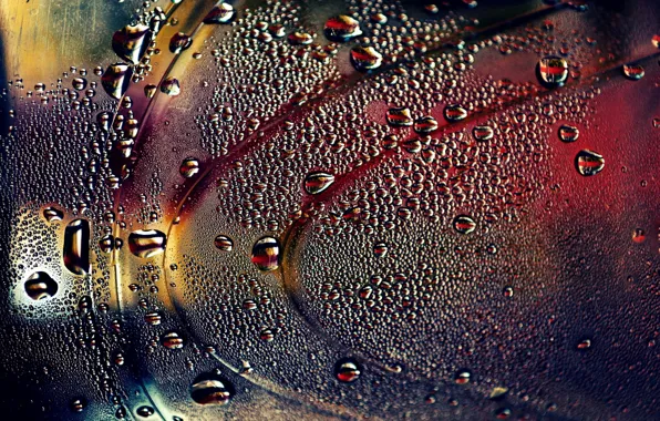 Drops, macro, texture, wet glass