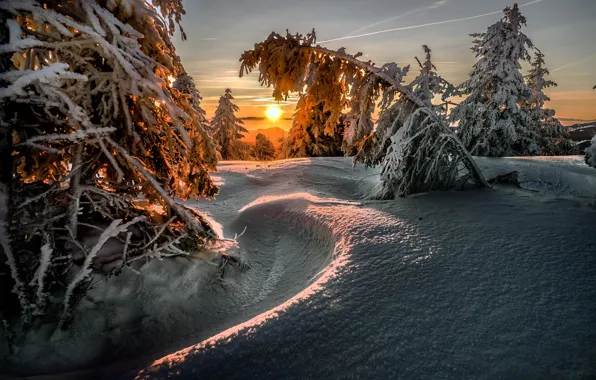 Picture winter, the sun, snow, trees, landscape, sunset, nature, ate