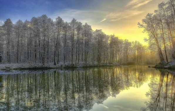Picture winter, frost, forest, river, sunrise, morning