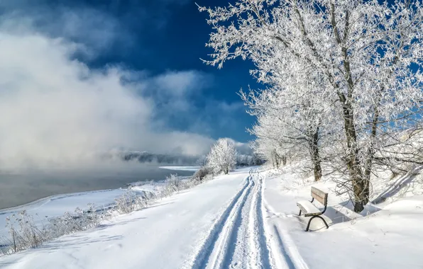 Winter, snow, trees, lake, pond, Park, slope, bench