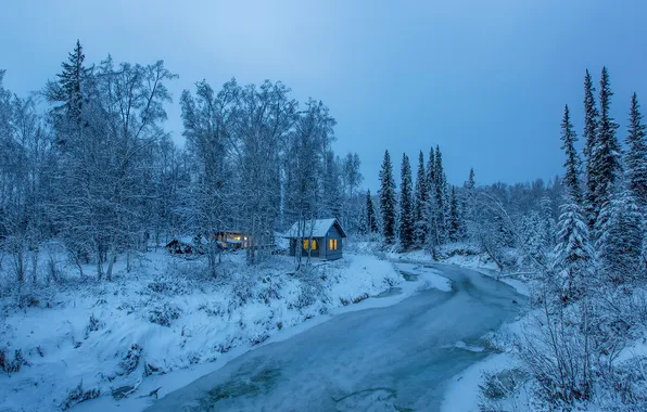 Winter, forest, snow, trees, river, hut, Alaska, house