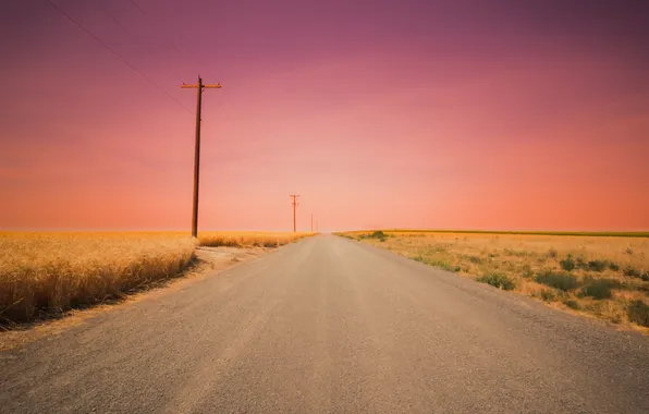 Road, field, sunset, power line, pink sky