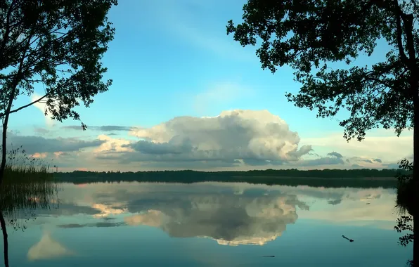The sky, Water, Nature, Clouds, Reflection, Photo, Lake, Trees