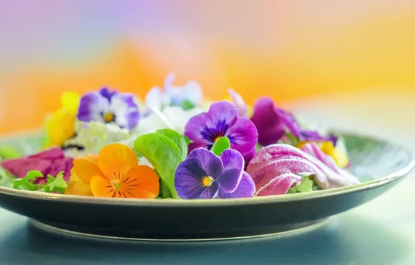 Picture macro, flowers, petals, plate, Pansy