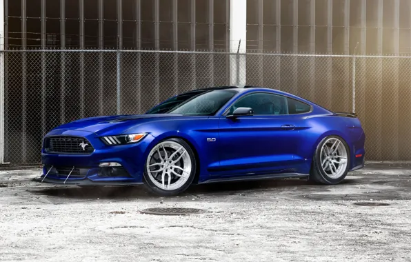 Picture Mustang, Ford, MV2 CS, ADV005, GTCS