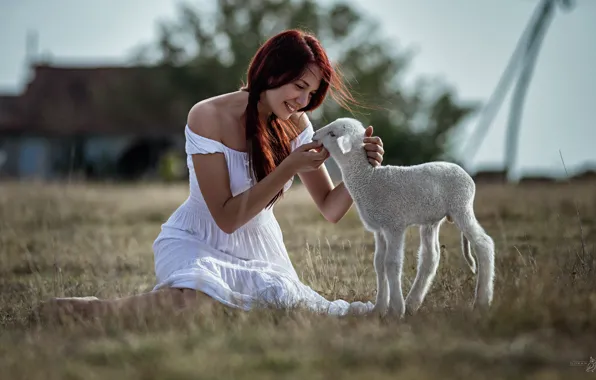 Picture girl, mood, meadow, lamb, Goran Dobozhanov