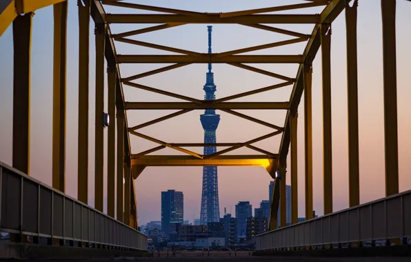 Bridge, the city, tower