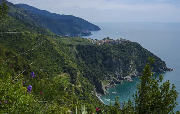 Picture sea, mountains, photo, Bay, rock, Italy, Vernazza, Liguria